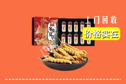 上饶市铅山回收冬虫夏草